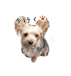 だいすき チョコ（個別スタンプ：2）