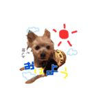 だいすき チョコ（個別スタンプ：4）