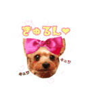 だいすき チョコ（個別スタンプ：11）