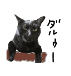 黒猫人君2（個別スタンプ：4）