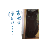 黒猫人君2（個別スタンプ：9）