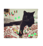 黒猫人君2（個別スタンプ：10）