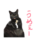 黒猫人君2（個別スタンプ：11）