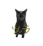 黒猫人君2（個別スタンプ：12）