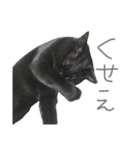 黒猫人君2（個別スタンプ：14）