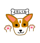 犬のまる 2 ／ まるMARU（個別スタンプ：6）