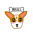 犬のまる 2 ／ まるMARU（個別スタンプ：9）