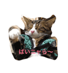 たごでん劇場 vol.1（個別スタンプ：4）