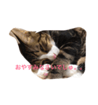 たごでん劇場 vol.1（個別スタンプ：7）