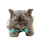 たごでん劇場 vol.1（個別スタンプ：9）