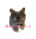 たごでん劇場 vol.1（個別スタンプ：11）