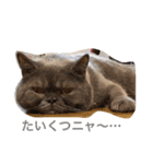 たごでん劇場 vol.1（個別スタンプ：12）