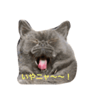 たごでん劇場 vol.1（個別スタンプ：13）