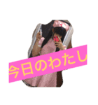 KIORI style（個別スタンプ：4）