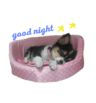 ココ様（個別スタンプ：2）