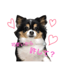 ココ様（個別スタンプ：4）