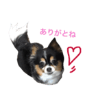 ココ様（個別スタンプ：5）