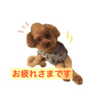 レイリー参上‼︎（個別スタンプ：2）