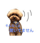 レイリー参上‼︎（個別スタンプ：7）