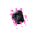 pug Qoo3（個別スタンプ：17）