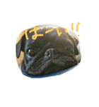 pug Qoo3（個別スタンプ：32）