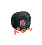 pug Qoo3（個別スタンプ：33）