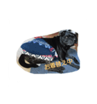 pug Qoo3（個別スタンプ：38）