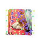shunchan！！（個別スタンプ：1）