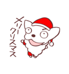 片眉！白いチワワンのメリークリスマス！！（個別スタンプ：1）