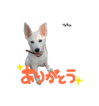 とうか＆れん＆あずき（個別スタンプ：3）