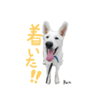 とうか＆れん＆あずき（個別スタンプ：8）