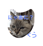 くぅたんの日常（個別スタンプ：1）