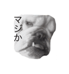 アディ M（個別スタンプ：4）