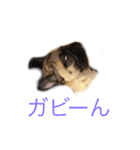 アディ M（個別スタンプ：5）