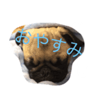 アディ M（個別スタンプ：6）