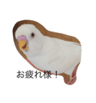 いんこのきもち   その3（個別スタンプ：9）