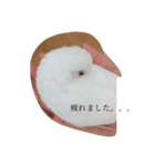 いんこのきもち   その3（個別スタンプ：11）