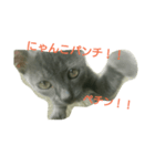 福の1日（個別スタンプ：5）