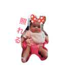 airinotan3（個別スタンプ：7）