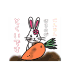 うさぎのスタンプその1.（個別スタンプ：10）