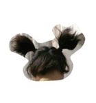 omoro-STAMP（個別スタンプ：11）