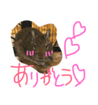 デグー ぽてちのスタンプ（個別スタンプ：3）