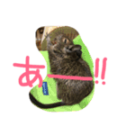 デグー ぽてちのスタンプ（個別スタンプ：22）