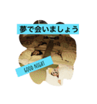 かぼちゃの妖精（個別スタンプ：8）