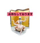 かぼちゃの妖精（個別スタンプ：11）