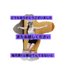 かぼちゃの妖精（個別スタンプ：15）