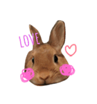 うさぎのうたまる。（個別スタンプ：3）