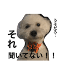 ロコ助（個別スタンプ：8）