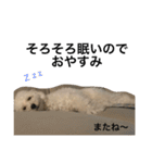 ロコ助（個別スタンプ：9）