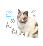 みるもとオレオ（個別スタンプ：4）